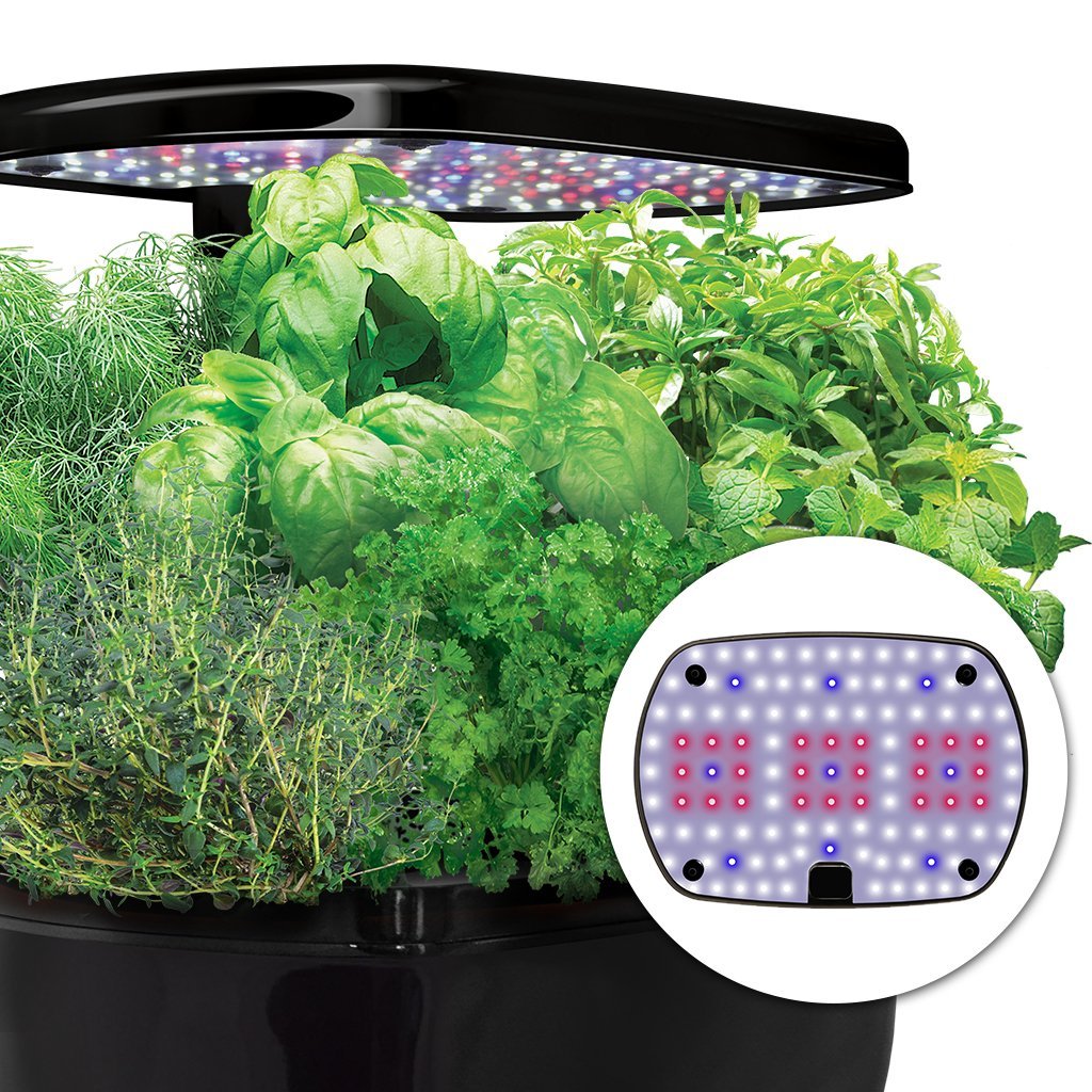 Miracle-Gro AeroGarden Kit de capsules de graines de salades vertes traditionnelles 9 capsules 