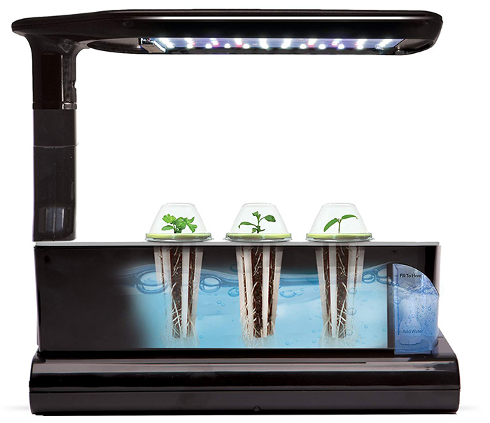 AeroGarden Miracle-Gro Sprout LED con kit de cápsulas de semillas de hierbas gourmet (negro)