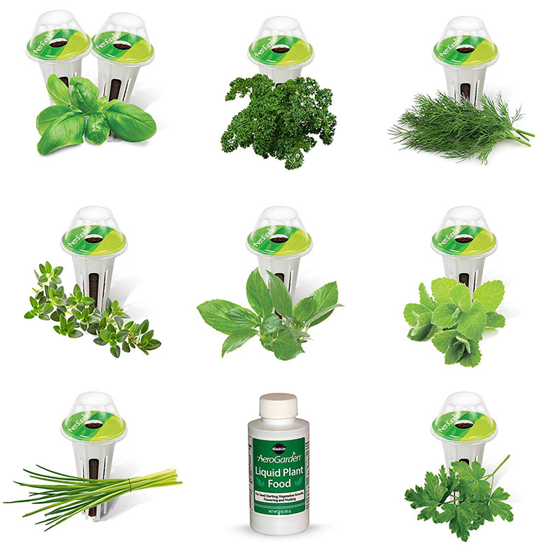 Kit de cápsulas de semillas de hierbas gourmet AeroGarden de Miracle-Gro (9 cápsulas)