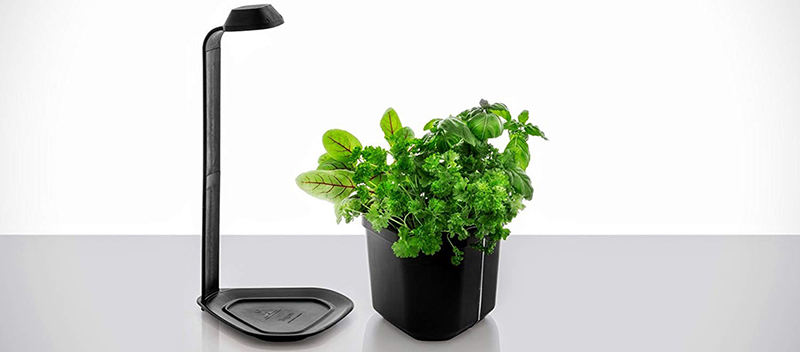 Tregren Genie noir 3 plantes, mini Jardinière et Potager d'intérieur Autonome pour herbes aromatiques, petits légumes, fleurs - Kit prêt à pousser