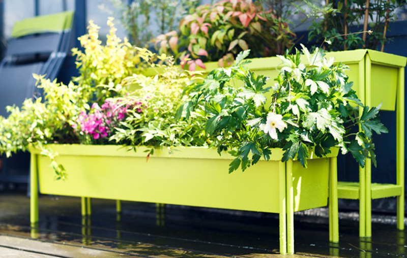 La jardinière  une décoration tendance, mais non sans inconvénients