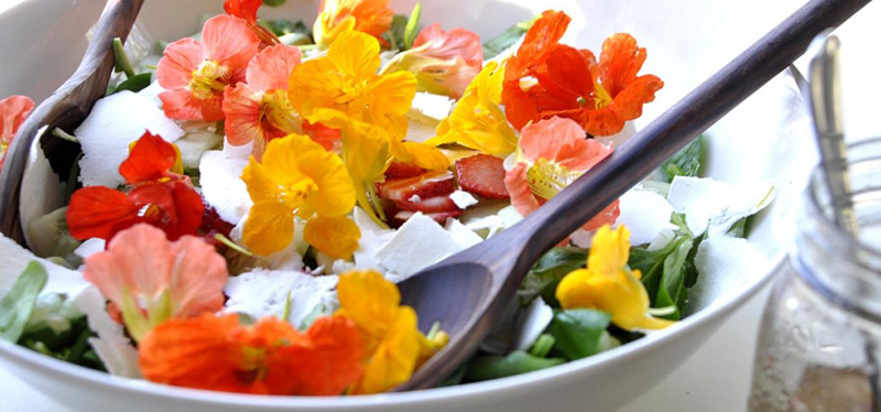 3 fleurs à mettre dans son assiette