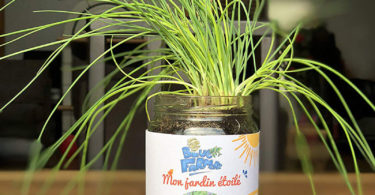 Blue Farmers Herbes aromatiques Cultivez votre Ciboulette à la Maison