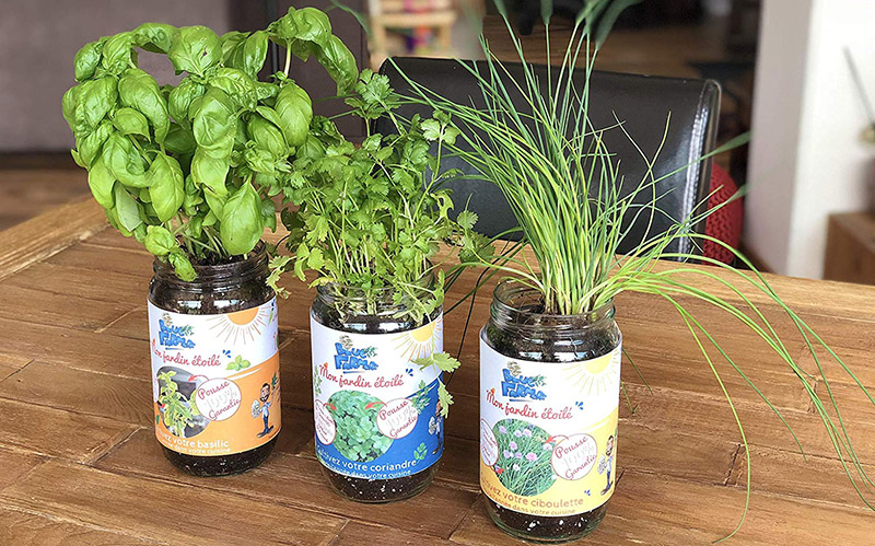 Blue Farmers - Herbes aromatiques - Cultivez votre Coriandre Ciboulette et Basilic à la Maison