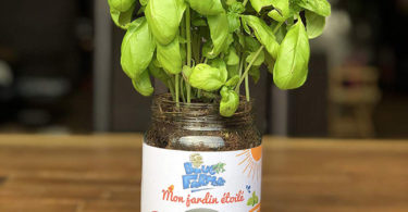 Blue Farmers Herbes aromatiques Cultivez votre Coriandre à la Maison