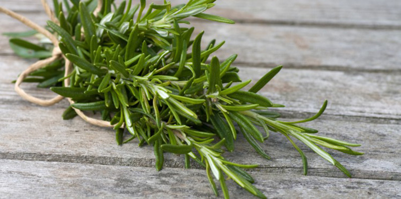 Les aromates antidépressifs les plus puissants