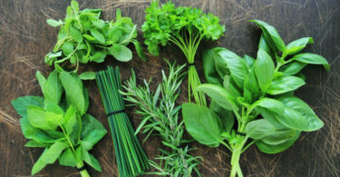 Quels sont les bienfaits des aromates pour votre santé.