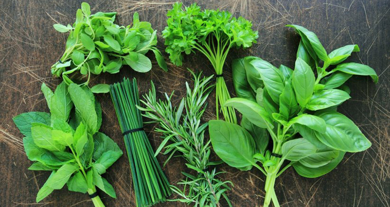 Quels sont les bienfaits des aromates pour votre santé.