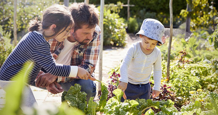 10 raisons d'initier ses enfants au jardinage en intérieur - Véritable