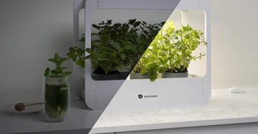 Smartwares - Lampe de croissance pour plantes d’intérieur - 14 W