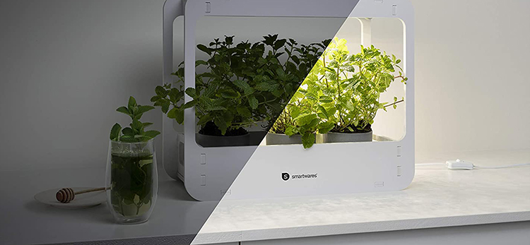 Smartwares - Lampe de croissance pour plantes d’intérieur - 14 W