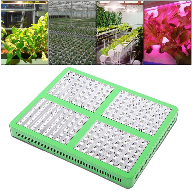 Test - LED Grow Light Lampe de croissance LED (960 W) pour plantes d'intérieur - Étanchéité IP 43 - Pour plantes, légumes et fleurs