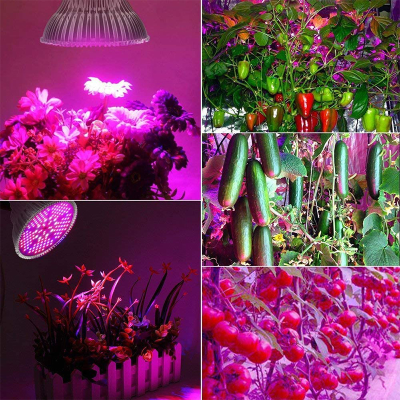 Test - Lampe de Plante Lampe de Croissance Lampe E27 100W 150 LEDs LED Grow Light de Croissance Plein Spectrum,des Fleurs et des Légumes Intérie