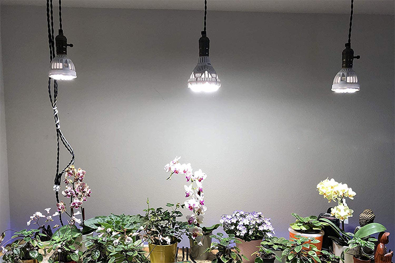 Test - SANSI Lampe Horticole LED à Spectre Complet 24W Lampe de Croissance E27 à Cycle Complet, 2000lm Lumière du Jour Blanc,Lampe de Plante pou