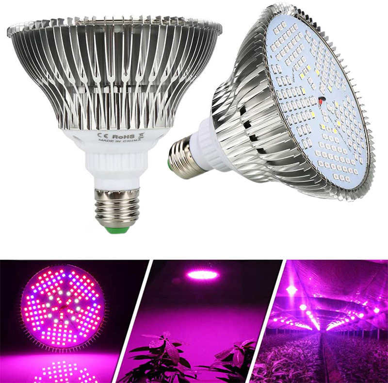 Test et Avis sur la Lampe de Plante LED à Spectre Complet 100W E27 Ampoule Éclairage pour Plantes Lampe de Croissance