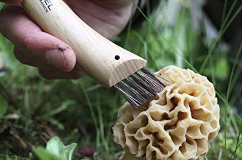 avis - Opinel Couteau à champignons inoxydable