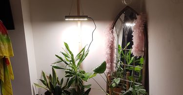Lampe Croissance Plante Interieur Horticole Dimmable LED 1000W FECiDA