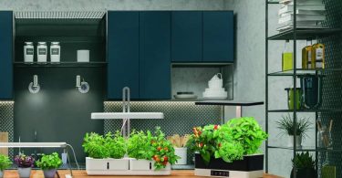 Mon avis sur le jardin d'intérieur LEDVANCE Indoor Garden Kit 450WT