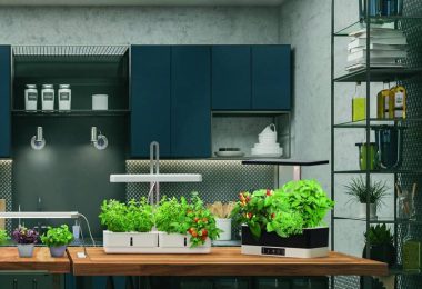 Mon avis sur le jardin d'intérieur LEDVANCE Indoor Garden Kit 450WT